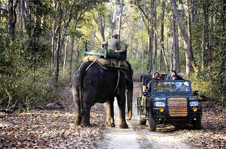 Kanha National Park Elephant Safari